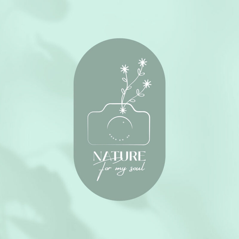 logo nature for my soul photographe graphiste morbihan